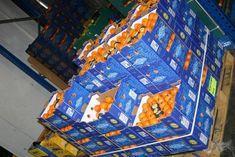 Wholesalers widen their outlook