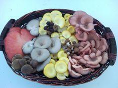 Exotic mushrooms will be among the draws at the Israeli fair