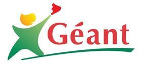 Geant logo