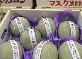 JP melon japan box