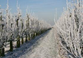 Frost North Holland