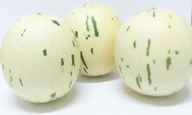 Sweet Snowball Melon (2)