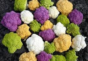 Tesco rainbow cauliflower