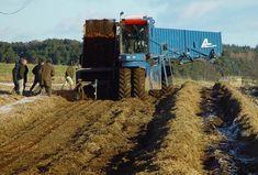 Growers are being sought to take part in organic weeding trials
