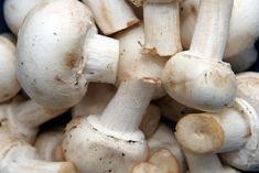 Irish mushroom campaign rebrands 'local'