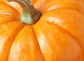 Generic pumpkin