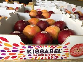 Kissabel sample Australia