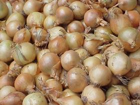 Dutch onions