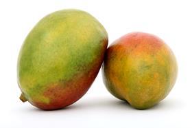 GEN mangoes