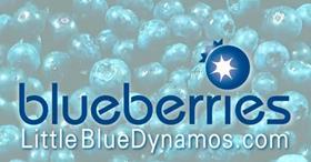 US TV advertisement blueberries