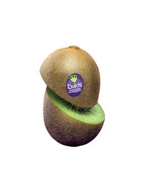 Dulcis kiwifruit