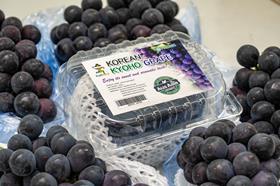Kyoho grapes aus asia produce 2