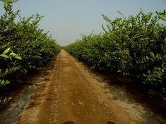 Peru on right track