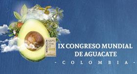 ix-congreso-mundial-de-aguacate-696x380