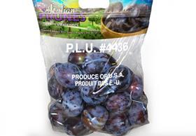 Oppy Blue Goose plums