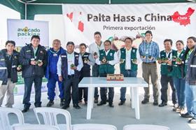 Mission Produce Peruvian avocados China