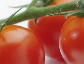 cherry tomatoes