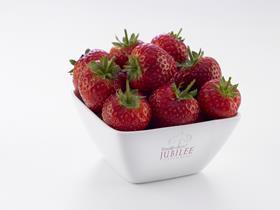 driscoll jubilee strawberries