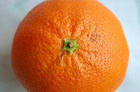 GEN Tangerine credit Leonardo Aguiar Creative Commons Flickr