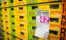 NZ Zespri SunGold trays