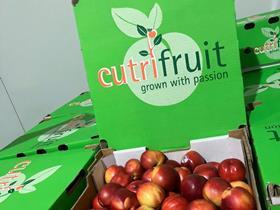 LPG Cutri Fruit Global AU
