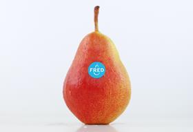 Fred BelOrta pear