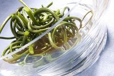 The garlic shoots