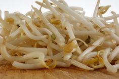 Beansprouts are once again in the spotlight