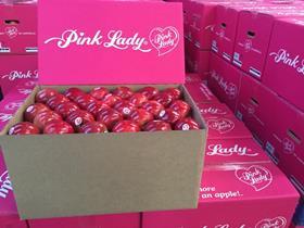 Pink Lady - Hansen Orchards