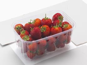 Strawberry Punnet