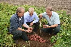 Growers Geoff and Philip Mayhew, with Asda potato buyer Drew Kirk, centre