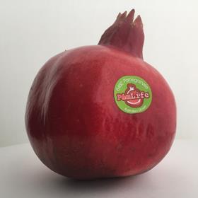 PomLife SPC pomegranate