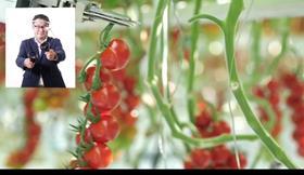 Haruhiko Kato Denso GTC 2021 Tomato harvesting of the future AI robotics