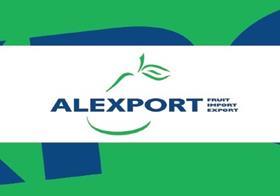 Alexport logo