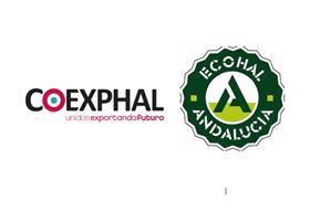 Coexphal Ecohal merger