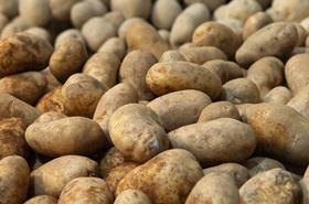 Generic potatoes Malaysia
