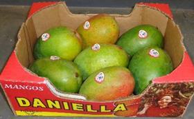 Daniella mangoes from Splendid Produce