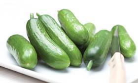 Rijk Zwaan snacking cucumbers