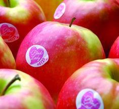Pink Lady growth defies downturn