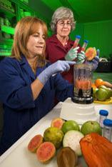 Elizabeth Baldwin (r) and Holly Sisson test guava