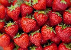 Strawberry crop protection work underway