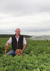 Asda introduces new Norfolk potato