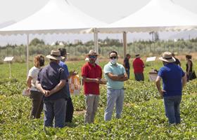 BASF melon day