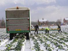 Red diesel clearance to fight cold snap 'good news'