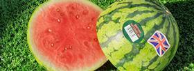 Tesco watermelon