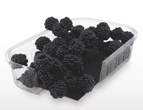 GB UK McAirlaids FruitPad blackberries