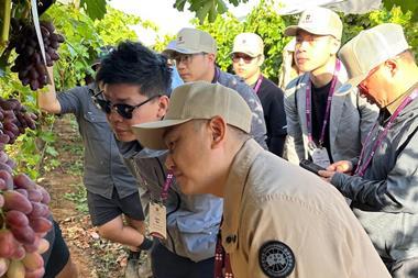 Grapa Global hosts international buyers for its Australian Arra Fire Crunch field day