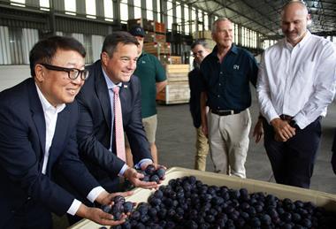 South Africa first stoneftuit shipments to China