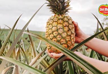 Del Monte Honeyglow pineapple