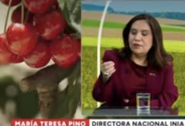 Maria Teresa Pinos, Inia